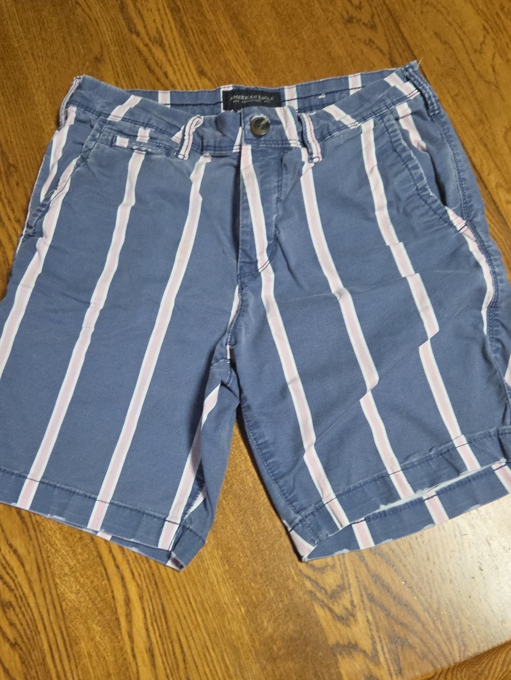 American Eagle Outfitters Blue & White Vertical Stripe Men’s Shorts